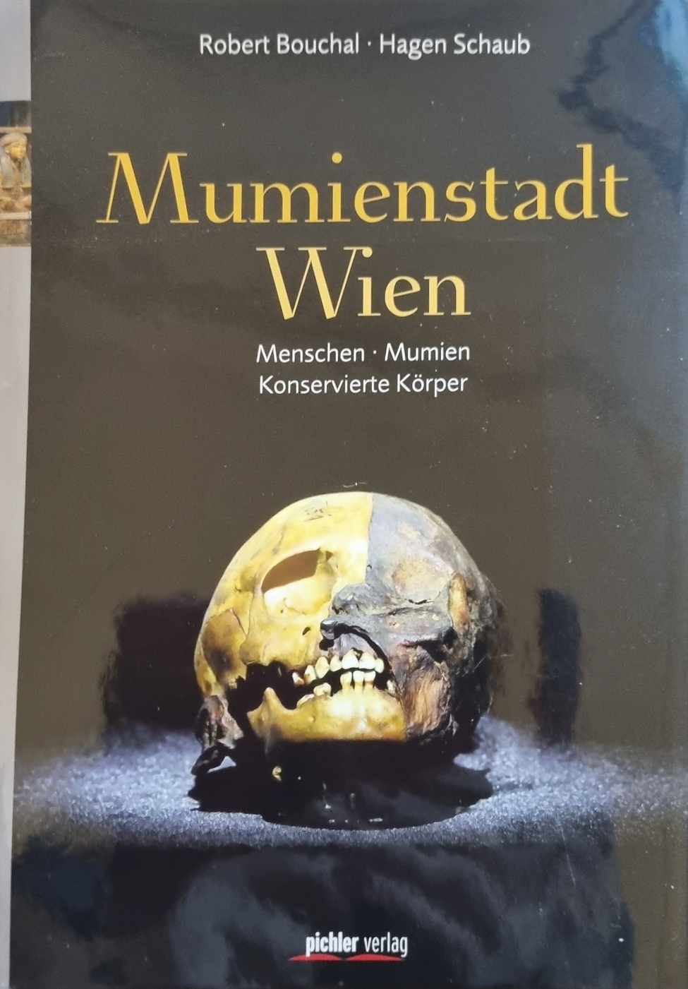 Schaub, Mumienstadt Wien, Cover.jpg