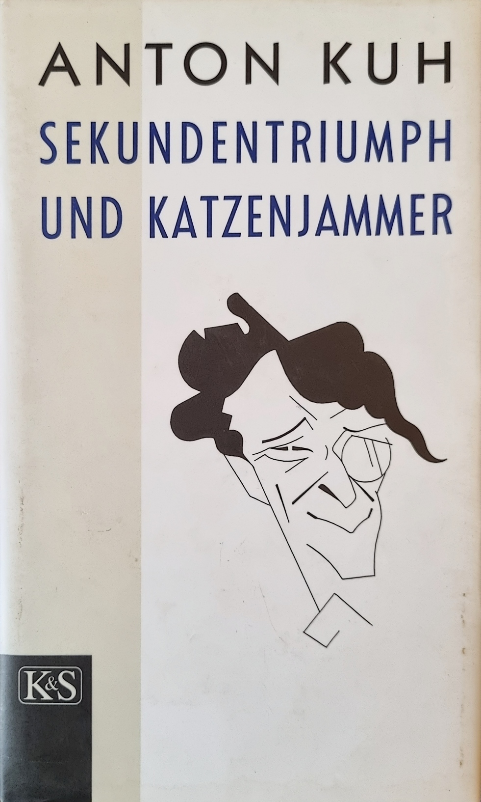 Kuh, Sekundentriumph und Katzenjammer, Cover.jpg